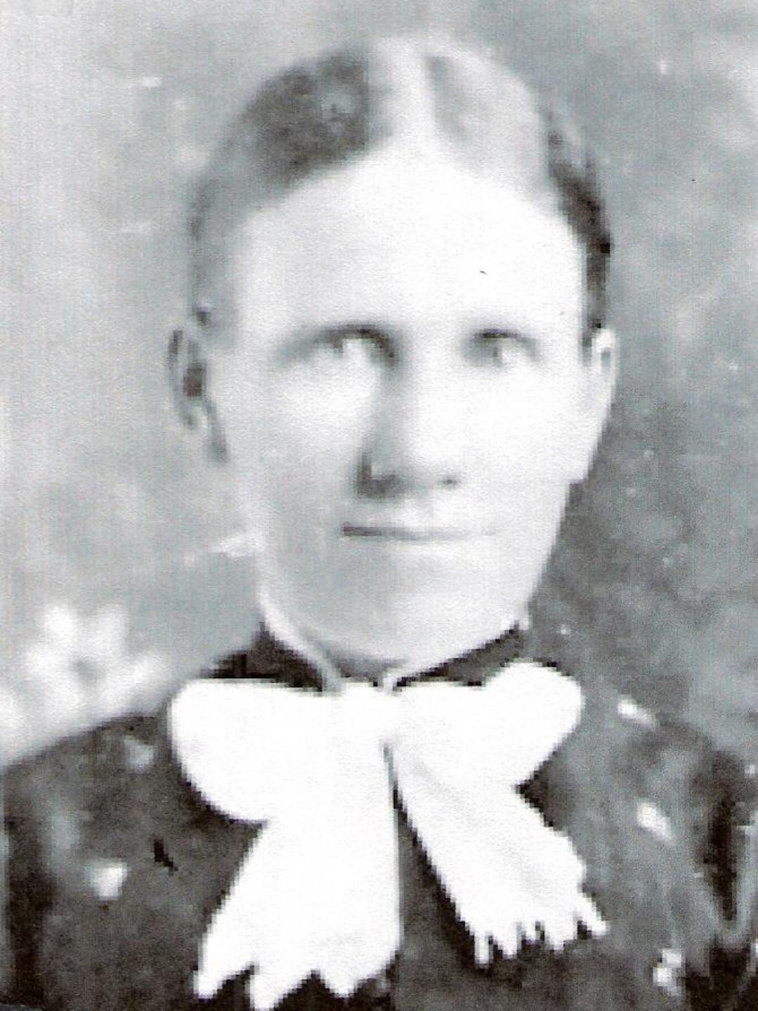 Lucy Sophronia Nielsen (1860 - 1896) Profile